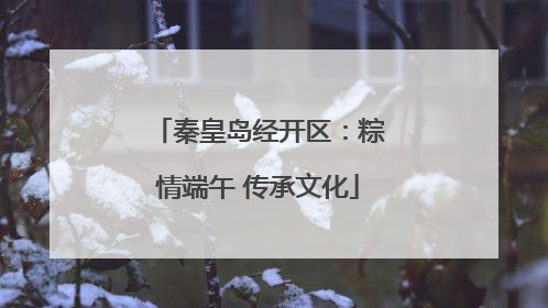 秦皇岛经开区：粽情端午 传承文化