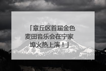章丘区首届金色麦田音乐会在宁家埠火热上演！