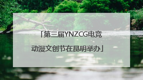 第三届YNZCG电竞动漫文创节在昆明举办