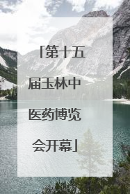 第十五届玉林中医药博览会开幕