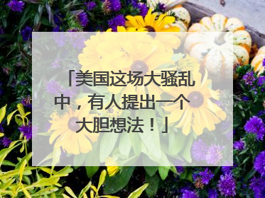 美国这场大骚乱中，有人提出一个大胆想法！