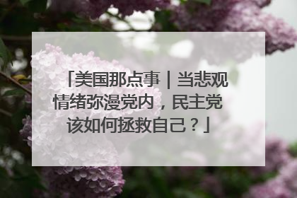 美国那点事｜当悲观情绪弥漫党内，民主党该如何拯救自己？