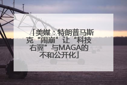 美媒：特朗普马斯克“闹崩”让“科技右翼”与MAGA的不和公开化