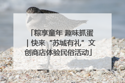 粽享童年 趣味抓蛋｜快来“苏城有礼”文创商店体验民俗活动