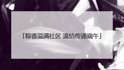 粽香溢满社区 温情传递端午