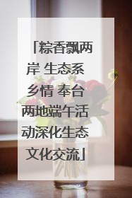 粽香飘两岸 生态系乡情 奉台两地端午活动深化生态文化交流