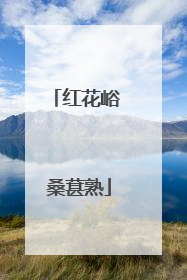 红花峪 桑葚熟