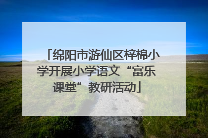 绵阳市游仙区梓棉小学开展小学语文“富乐课堂”教研活动