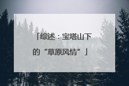综述：宝塔山下的“草原风情”
