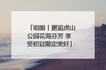 组图丨邂逅虎山公园花海芬芳 享受初夏限定美好