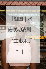 组图｜水陆联动清剿“生态杀手”