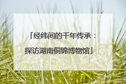 经纬间的千年传承：探访湖南侗锦博物馆