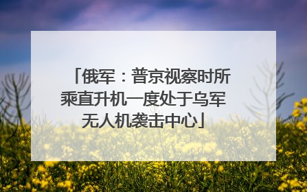 俄军：普京视察时所乘直升机一度处于乌军无人机袭击中心