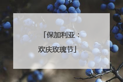 保加利亚：欢庆玫瑰节