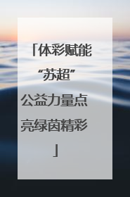 体彩赋能“苏超” 公益力量点亮绿茵精彩