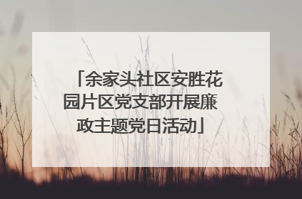 余家头社区安胜花园片区党支部开展廉政主题党日活动