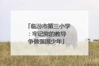 临汾市第三小学：牢记党的教导 争做强国少年