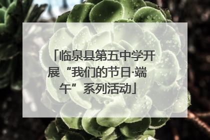 临泉县第五中学开展“我们的节日·端午”系列活动