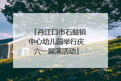 丹江口市石鼓镇中心幼儿园举行庆六一展演活动