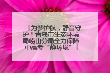 为梦护航，静音守护！青岛市生态环境局崂山分局全力保障中高考“静环境”