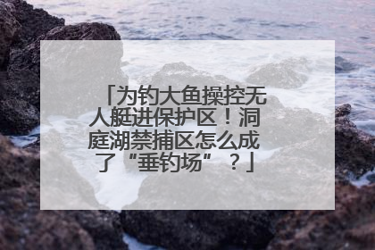 为钓大鱼操控无人艇进保护区！洞庭湖禁捕区怎么成了“垂钓场”？