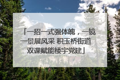一招一式强体魄，一镜一景展风采 积玉桥街道双课赋能楼宇党建