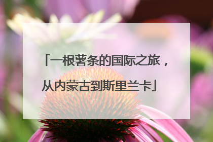 一根薯条的国际之旅，从内蒙古到斯里兰卡
