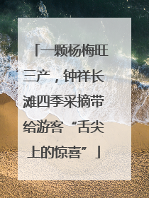 一颗杨梅旺三产，钟祥长滩四季采摘带给游客“舌尖上的惊喜”