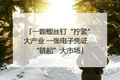 一颗螺丝钉“拧紧”大产业 一张电子凭证“链起”大市场