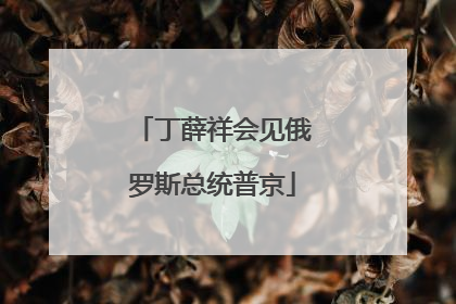 丁薛祥会见俄罗斯总统普京