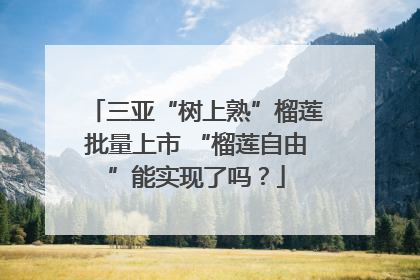 三亚“树上熟”榴莲批量上市 “榴莲自由”能实现了吗？