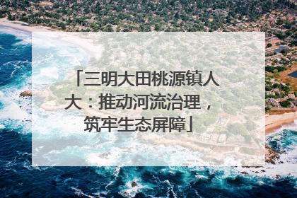 三明大田桃源镇人大：推动河流治理，筑牢生态屏障