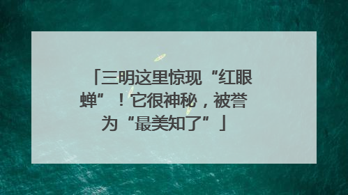 三明这里惊现“红眼蝉”！它很神秘，被誉为“最美知了”