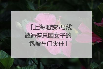 上海地铁5号线被逼停只因女子的包被车门夹住