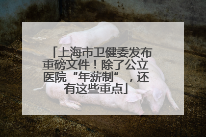 上海市卫健委发布重磅文件！除了公立医院“年薪制”，还有这些重点
