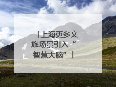 上海更多文旅场景引入“智慧大脑”