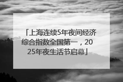上海连续5年夜间经济综合指数全国第一，2025年夜生活节启幕