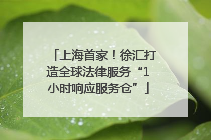 上海首家！徐汇打造全球法律服务“1小时响应服务仓”
