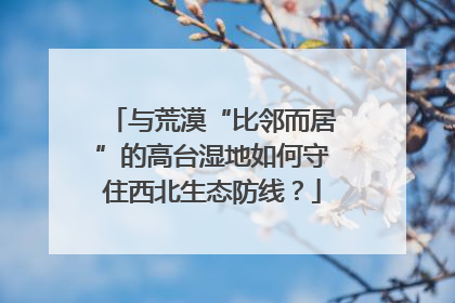 与荒漠“比邻而居”的高台湿地如何守住西北生态防线？