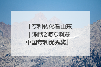 专利转化看山东｜淄博2项专利获中国专利优秀奖