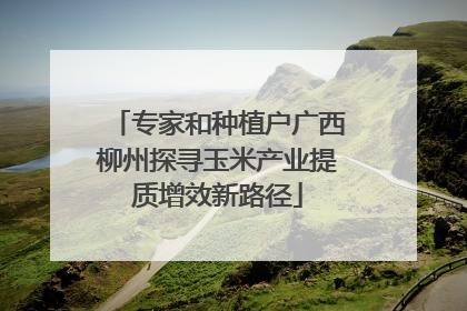 专家和种植户广西柳州探寻玉米产业提质增效新路径