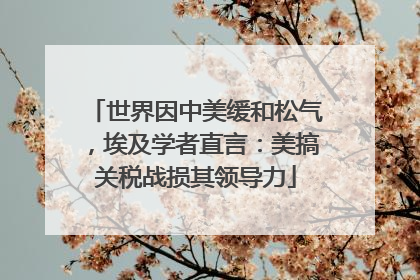 世界因中美缓和松气，埃及学者直言：美搞关税战损其领导力