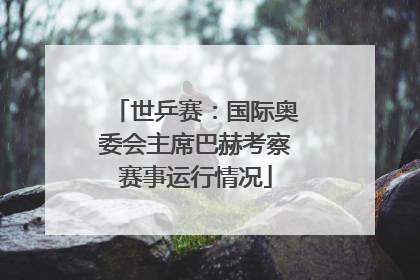 世乒赛：国际奥委会主席巴赫考察赛事运行情况