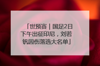 世预赛｜国足2日下午出征印尼，刘若钒因伤落选大名单