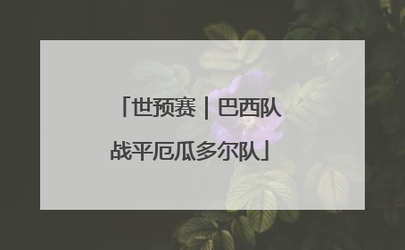 世预赛｜巴西队战平厄瓜多尔队