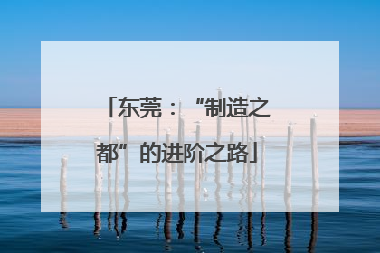东莞：“制造之都”的进阶之路