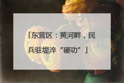 东营区：黄河畔，民兵驻堤淬“硬功”
