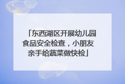 东西湖区开展幼儿园食品安全检查，小朋友亲手给蔬菜做快检