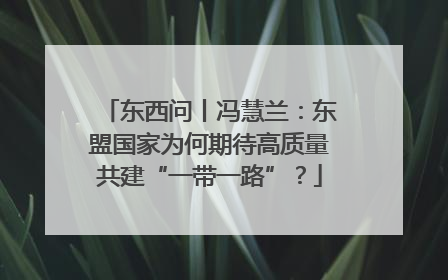 东西问丨冯慧兰：东盟国家为何期待高质量共建“一带一路”？
