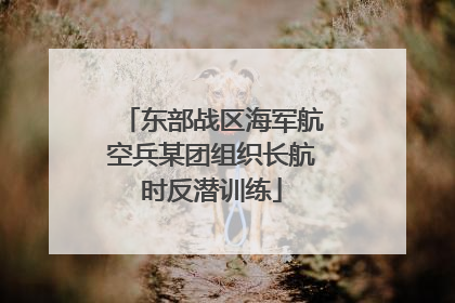 东部战区海军航空兵某团组织长航时反潜训练